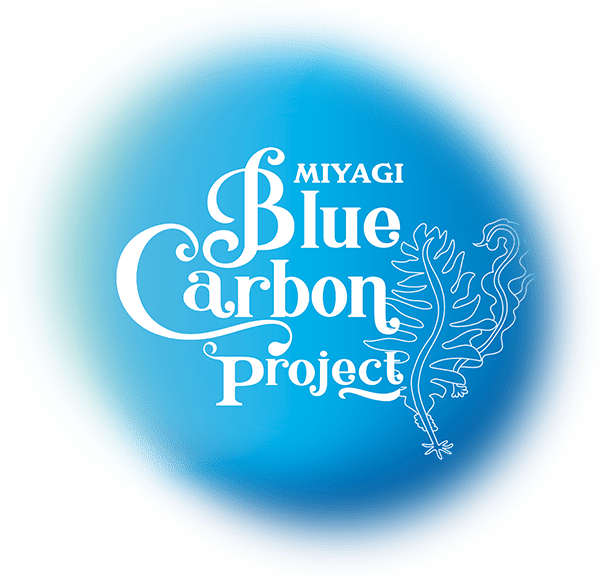 MIYAGII Blue Carbon Project｜みやぎブルーカーボンプロジェクト