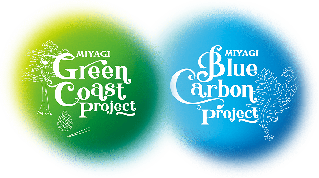 みやぎグリーンコーストプロジェクト｜みやぎブルーカーボンプロジェクト